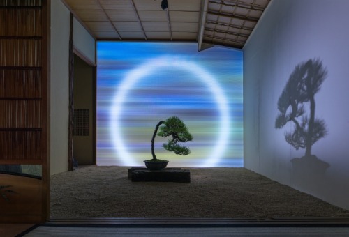 jareckiworld:  Masashi Hirao (平尾成志)   — Bonsai Landscape 
