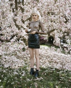 nevver:  Sunflower Bean