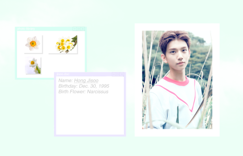 smolgyu:  seventeenâ€™s vocal unit and their birth flowers for anon. 