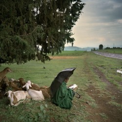 fotojournalismus:Ethiopia, 2009. Photo by Juan Manuel Castro