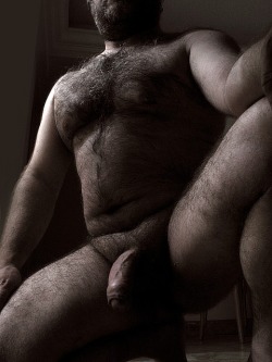 BACKFUR - Hairy/bear/horny/daddy