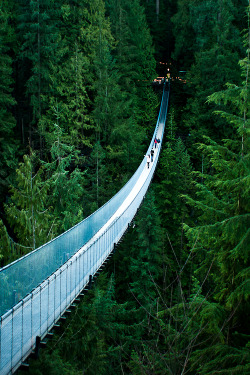 wonderous-world:  Capilano Suspension Bridge by Michelle Lee