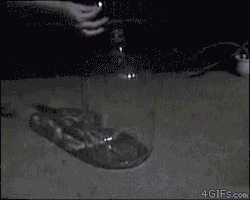 science-part:  Flammable fluid in a glass jug.