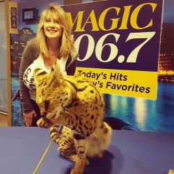 Robust radio personality Nancy Quill meets some animals in a