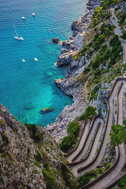 italian-luxury:  Capri Island | Italy