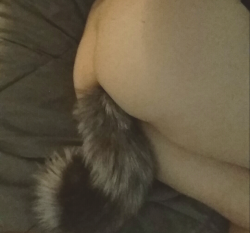 thecursedhearse:  Me wearing my tail, I will post better pictures