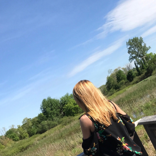 🌻