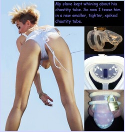 celebrityfemdom:Miley Cyrus Chastity Slave