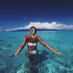 PARADISE FOTOGRAFIAS