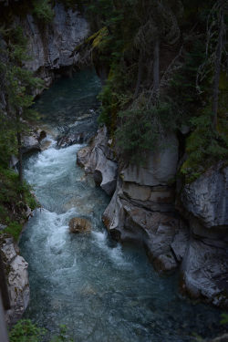 andrewadams:  July 2016, Banff National Park 