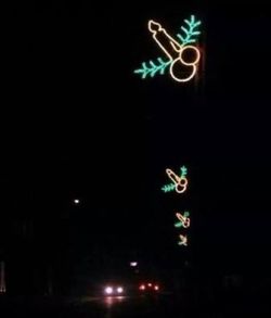 reaperlight:  edkoi:  so my city apparently put up christmas