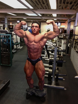 Pecs and Ass