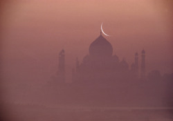 tropicale-moderne:  INDIA. Uttar Pradesh. Agra. Taj Mahal. 1985