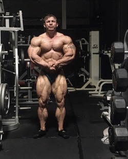 Flex Lewis