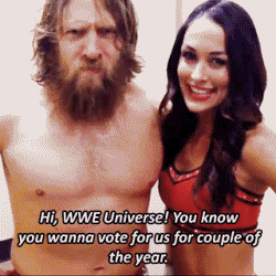 barraging:  Daniel Bryan and Brie Bella, the couple of the year