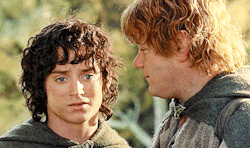 frodo-sam:  His love for Frodo rose above all other thoughts,