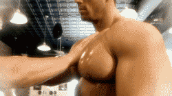 musclebear30:  musclebear30love to touch a muscle chest…follow
