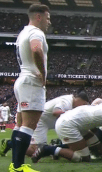 silverskinsrepository:  Rugby: Danny Care