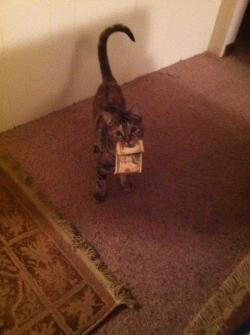 awwww-cute:  Lost a บ bill last night and couldn’t find I