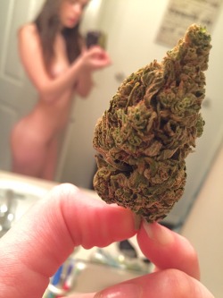 admissive-euphoria:  Little Nug 