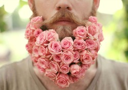 thegaybeards:  Roses are red, and violets are blue, if you reblog
