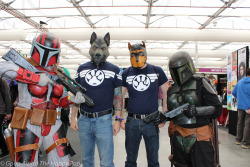 Oz Comic Con 2015http://thehappypup.com 