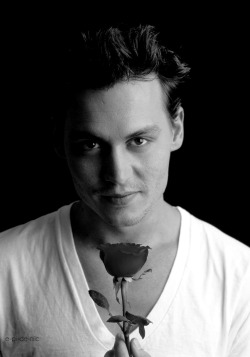 e-pi-de-mic:  Depp 