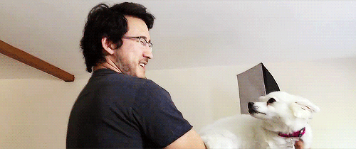 jamesangel:  space dog 