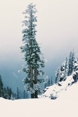 expressions-of-nature:  by Brooke Ferguson 