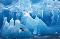 Surreal seascape (Adelie penguins, Antarctica)
