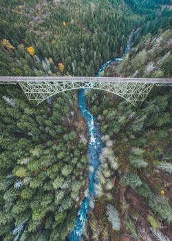 northwezt:  Vance Creek Bridge (Nov. 4, 2015)