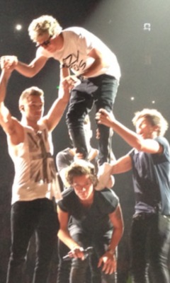 floral-narry:  Things got wild on the TMH tour