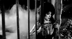 classichorrorblog: Elvira: Mistress of the DarkDirected by James