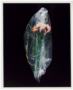 jennilee:  Lynn Hershman - Untitled 1978-94 (via Walker Art Center