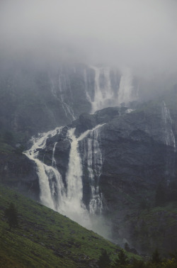 moody-nature: Untitled | By Andrea Compagnoni