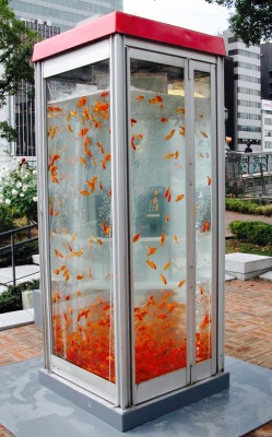 12h51mn:  Retro phone booths transformed into goldfish aquariums
