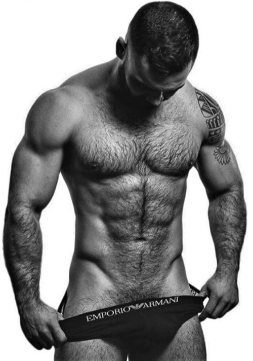 fitbearcatcher:Furpect Emporio Armani