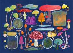 Fungi