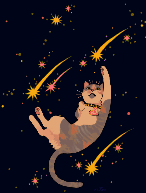millionfish:  pet commission for Angelo! 🐈🌠❤️