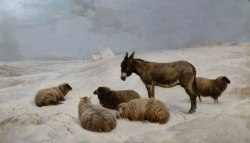 lacalaveracatrina:  Charles Jones - Donkey and Sheep in a Winter