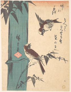 fashionsfromhistory:  Bamboo & Sparrows    Utagawa Hiroshige