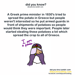 beccatheb:  did-you-kno:  Source  IS THAT VAATI AS A POTATO??