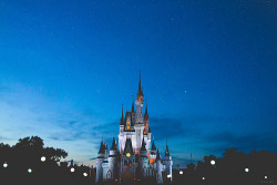 Disney World