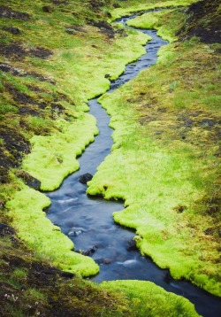 this-is-wild:  Mountain stream in Landmannalaugar, Iceland (Maarja