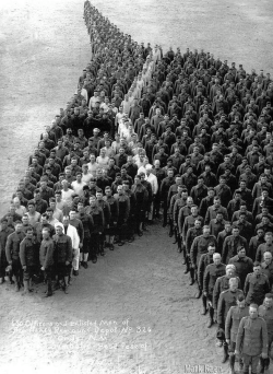 sixpenceee:  Soldiers pay moving tribute to 8 million horses,
