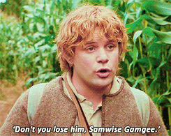 samwiseg:   I made a promise, Mr. Frodo. A promise.  