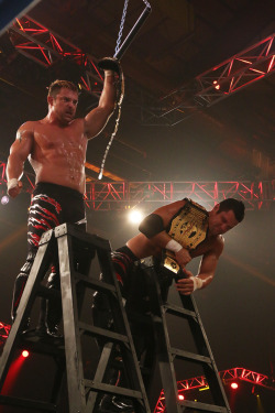 sskarekrow:  fishbulbsuplex:  TNA World Tag Team Champions The