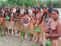 “Yawanawá – The People of the Wild Boar”In the field of