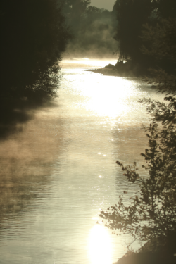 tulipnight:  Misty River… by lumi swindlehurst