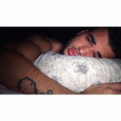 jioayala:  🐻